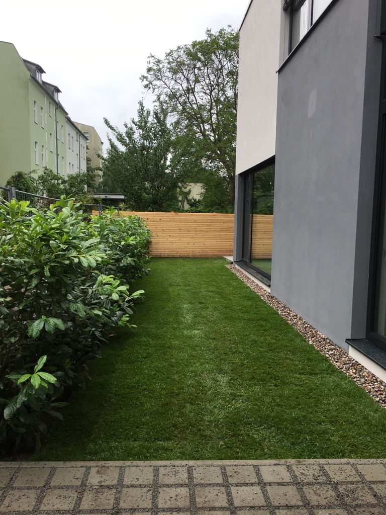 Neupflanzung Kirschlorbeerhecke, Einbau Rollrasen, Anlegen Kiesrand